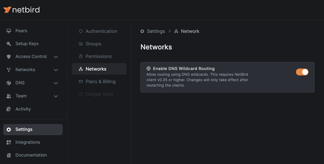 Enabling DNS wildcard routing