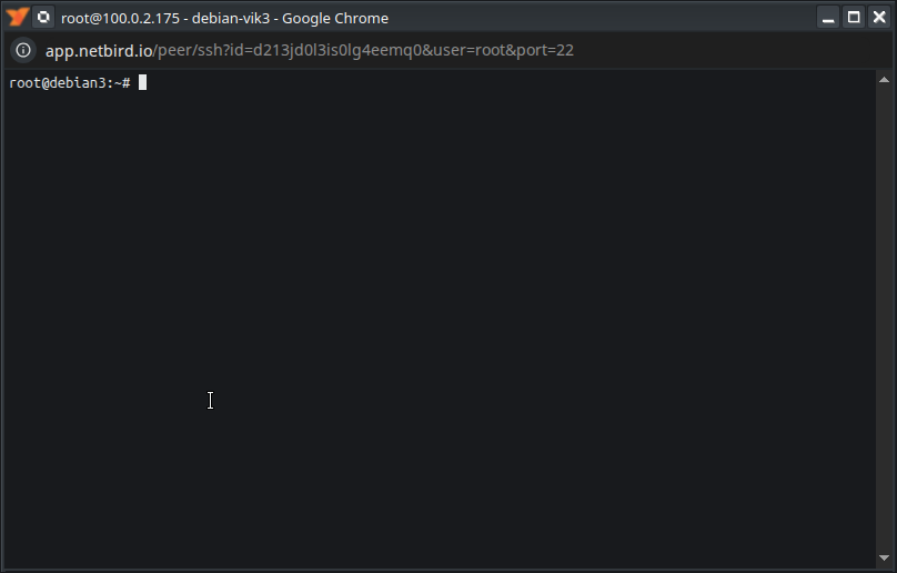 ssh-terminal-connected