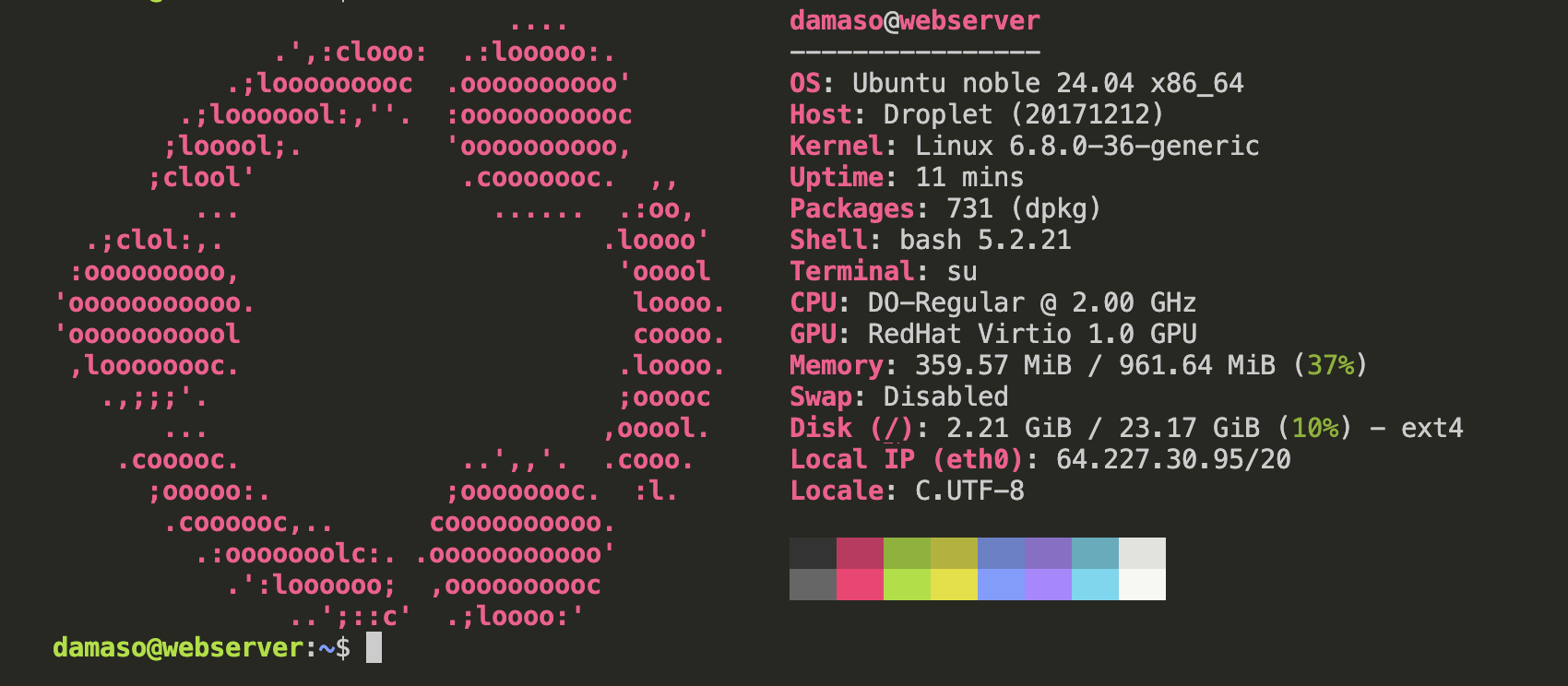 Terminal Fastfetch from Web Server