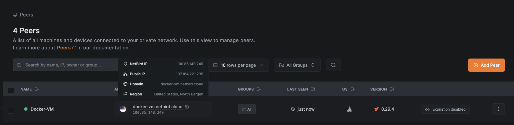 NetBird Peers IP Address or Domain