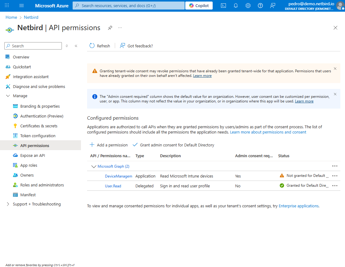 Intune API Permissions Warnings