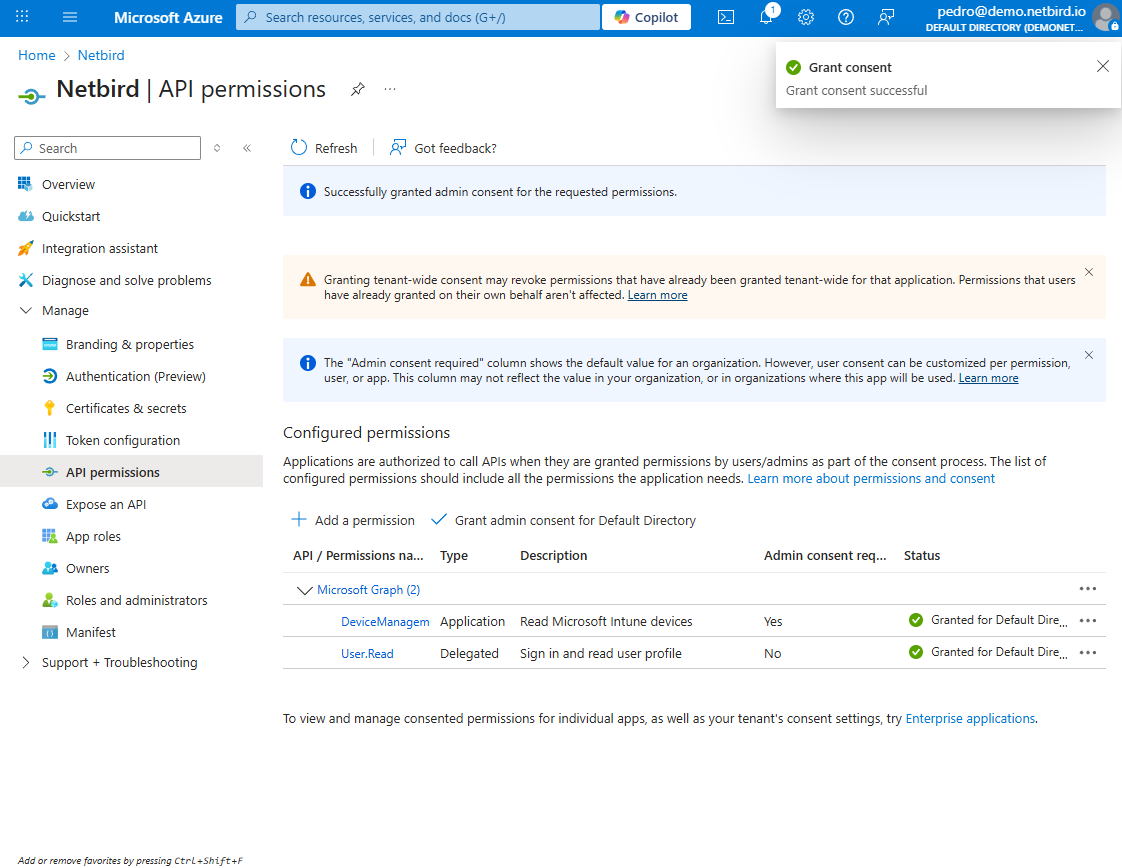 Intune API Permissions Granted