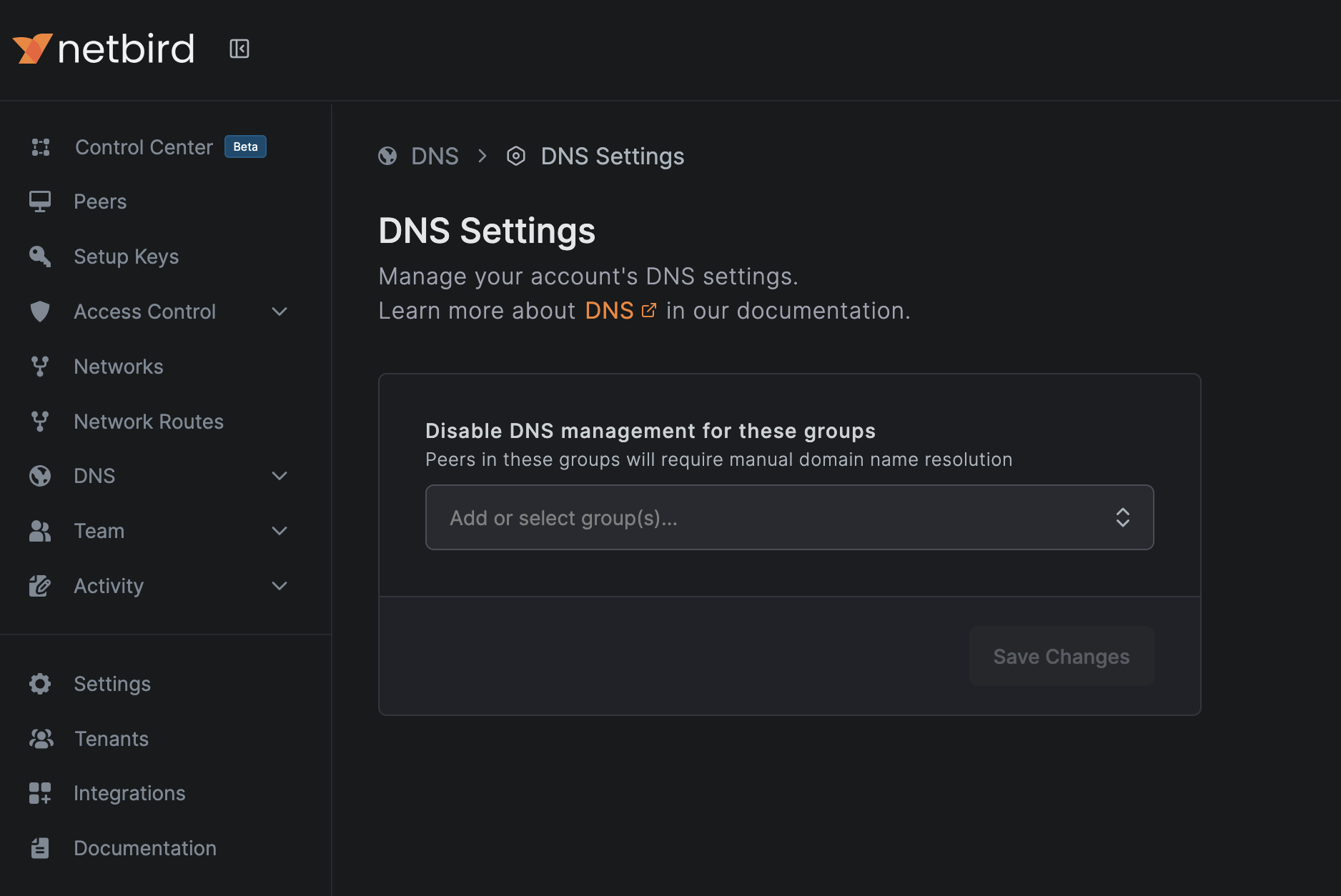 DNS settings