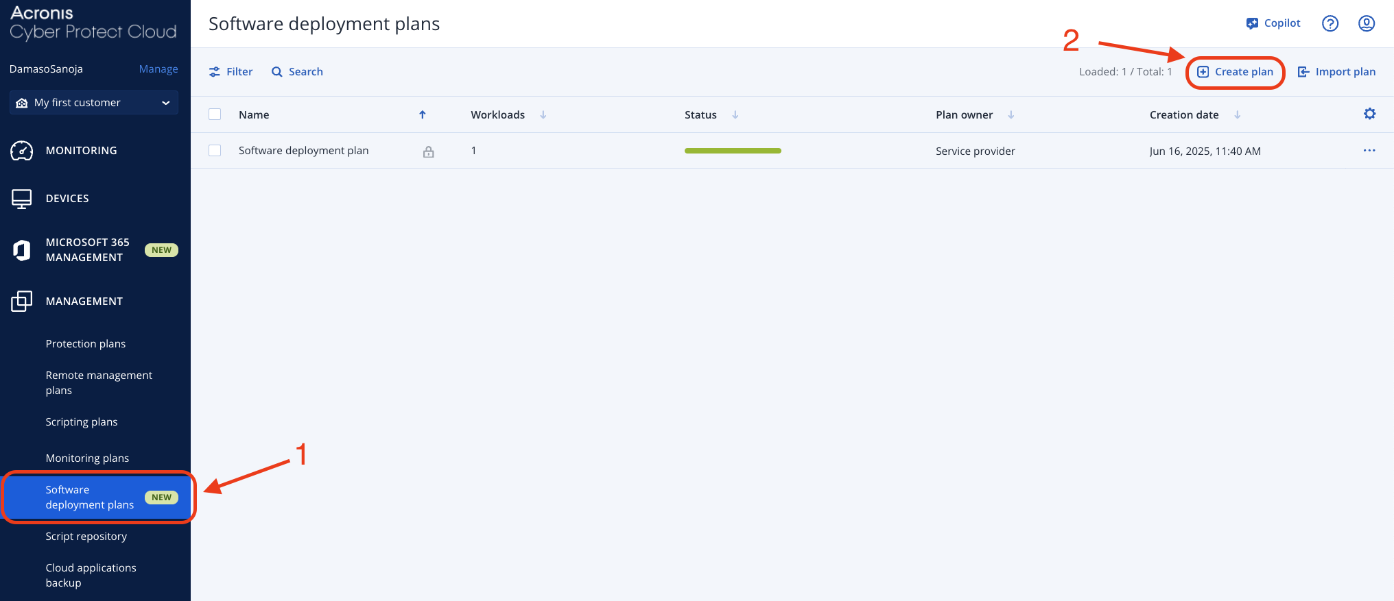 Software deployment plans