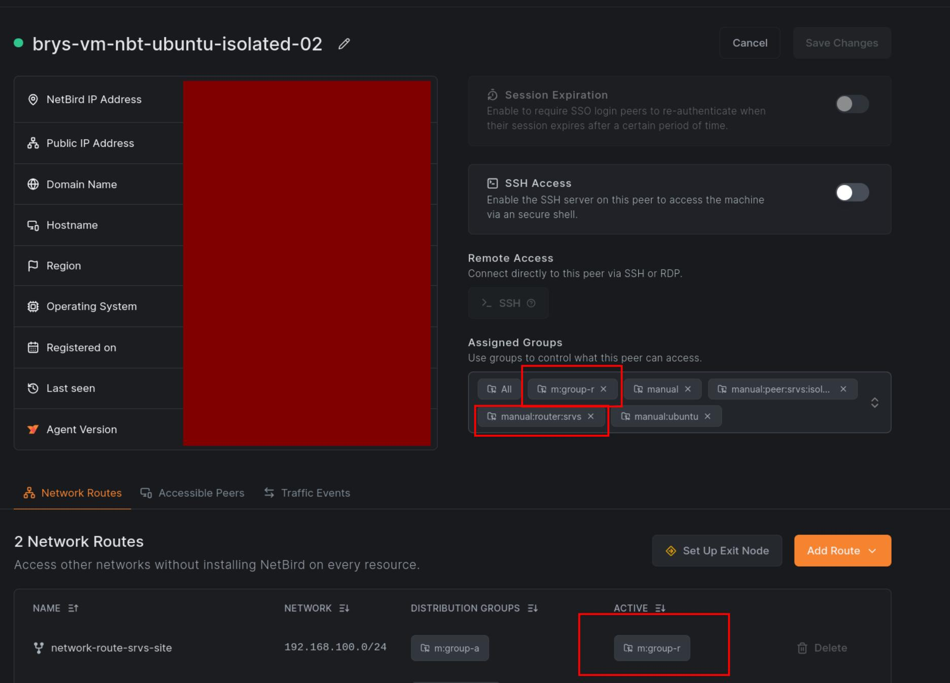 Routing Peer's detail page with Network Route handling