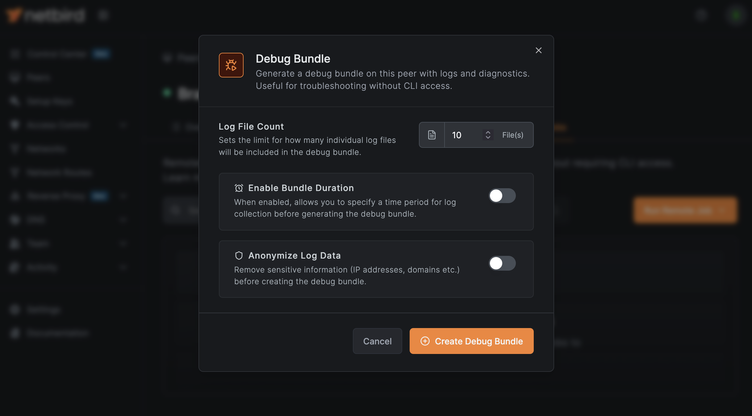 create debug bundle modal