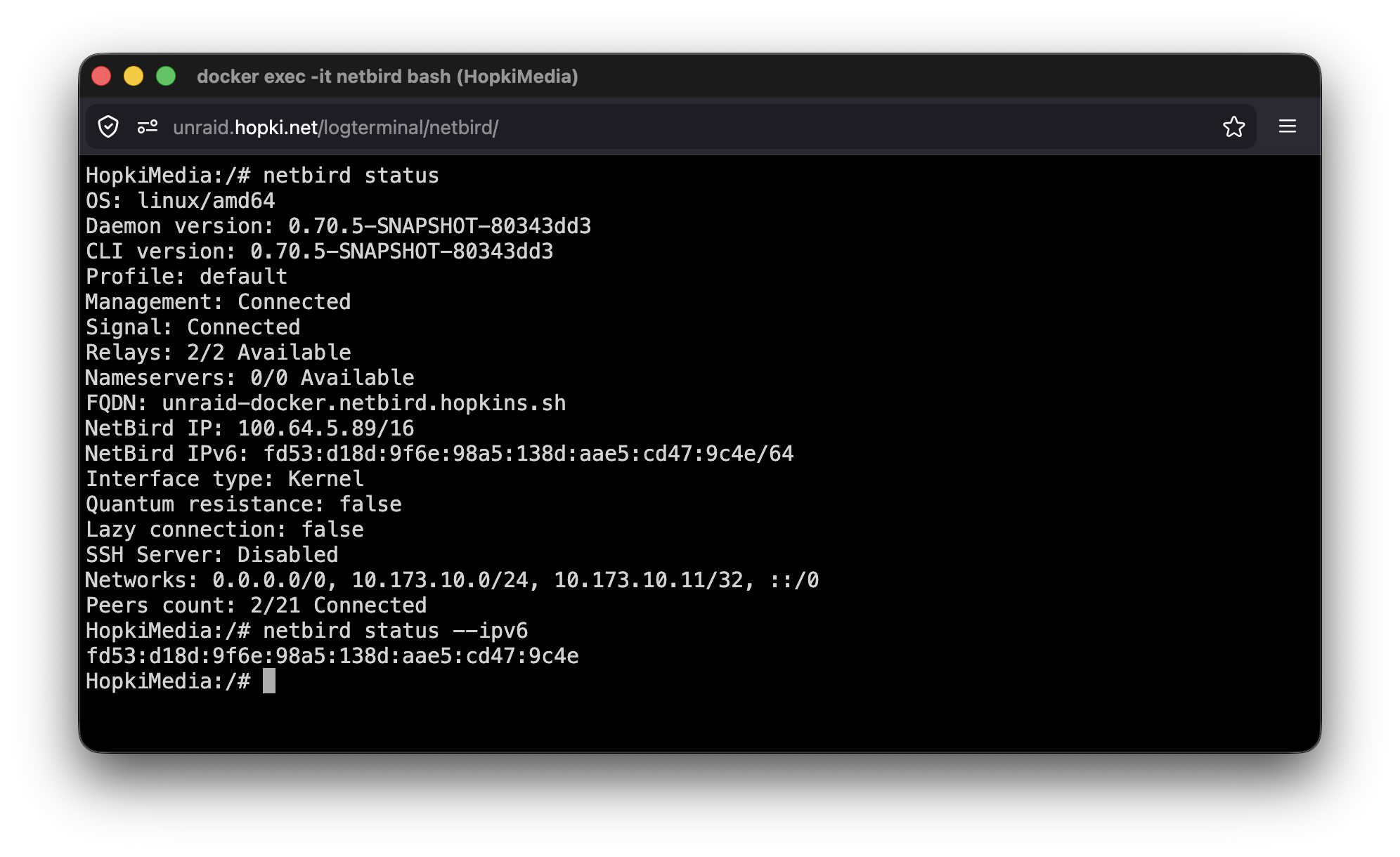 NetBird client status showing IPv6 address and exit-node usage