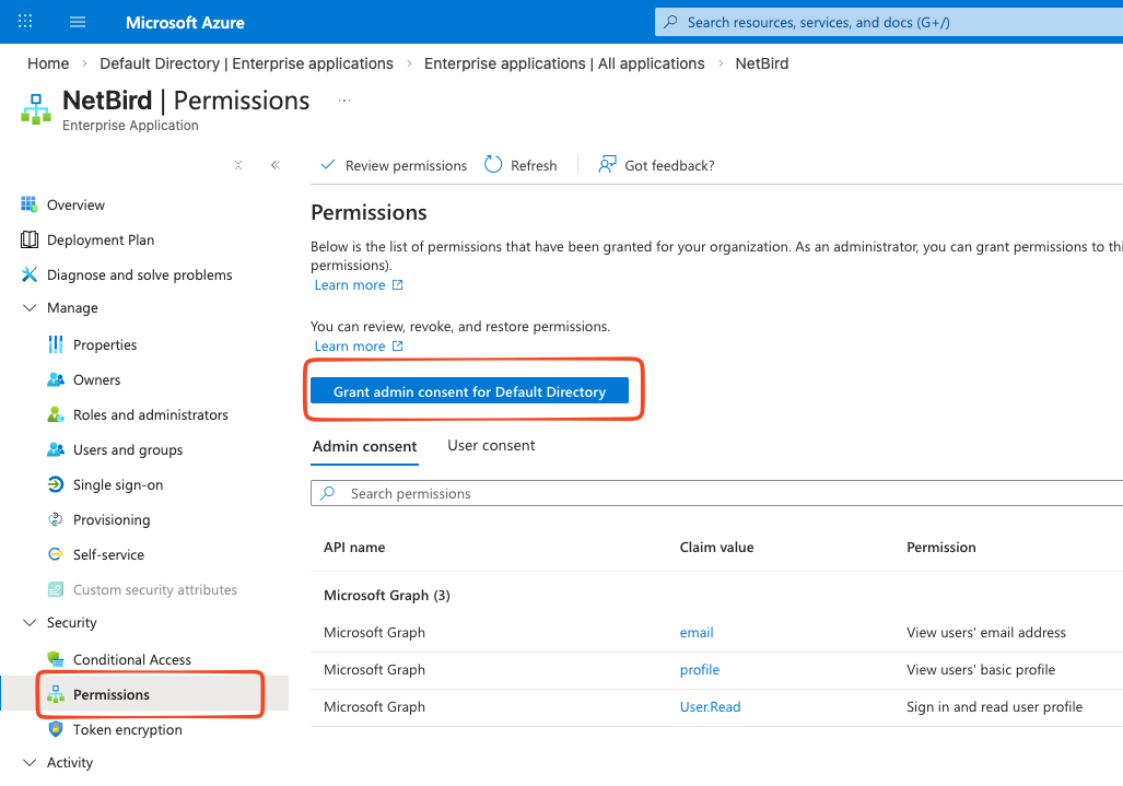 Grant admin consent for NetBird