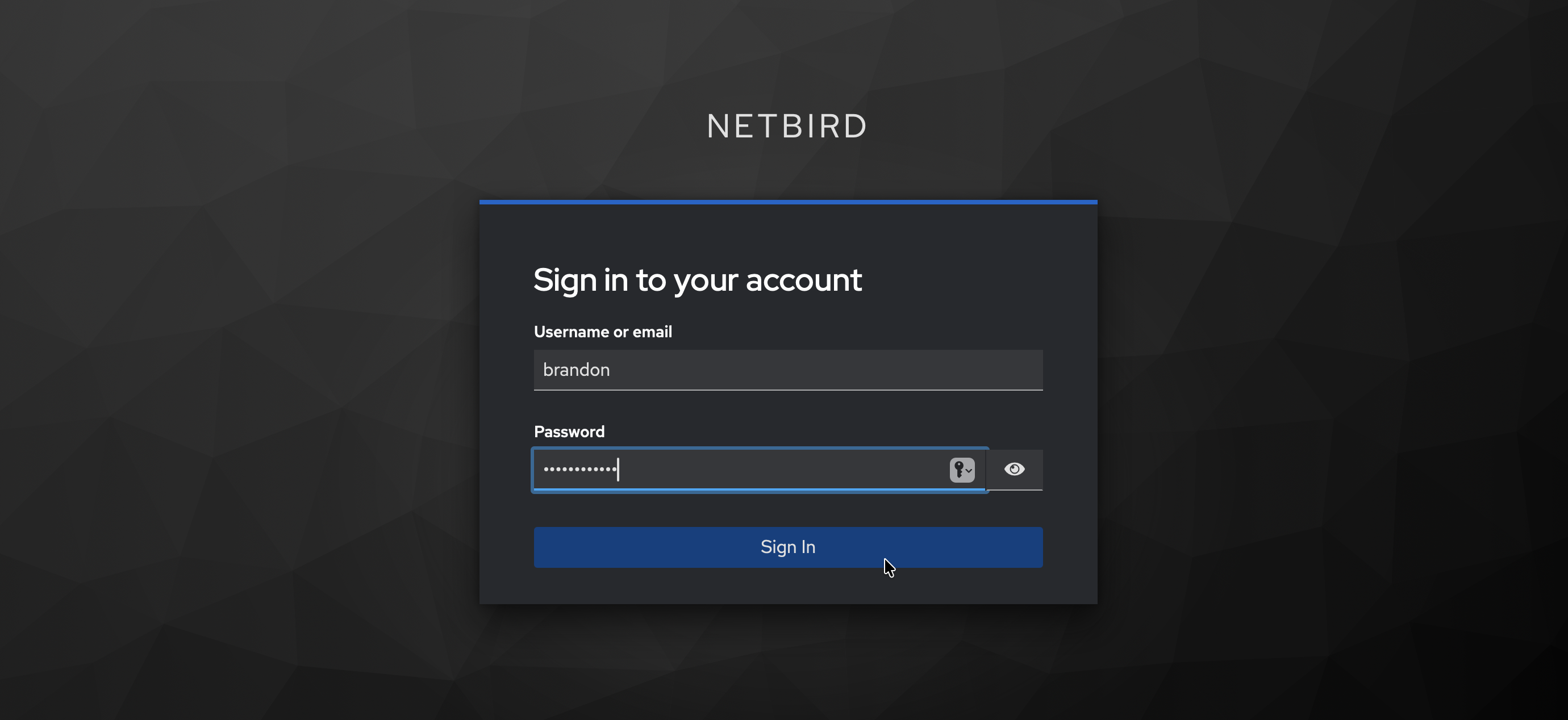 NetBird Keycloak login